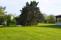 einen grünen Garten mit einem Baum und einem Pavillon in der Unterkunft MAS MLS in Saintes-Maries-de-la-Mer
