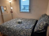 a bedroom with a bed and a window at La Chambre Saint Jacques &amp; Rennes in Saint-Jacques-de-la-Lande