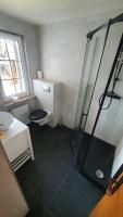 a bathroom with a shower with a toilet and a sink at Pension am Silberberg in Gartz an der Oder