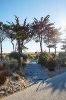 a path with trees and plants on a beach at Le Phare in Les Portes