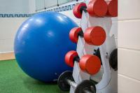 Fitness centrum a/nebo fitness zařízení v ubytování Green Cactus cosy Loft, Wifi & Gym