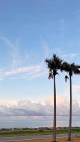 two palm trees on the side of a road at Qixingtan Xinghai B&amp;B in Dahan