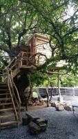 Chili Kiwi Lakefront Backpackersの見取り図または間取り図