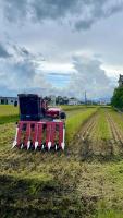 a red train sitting in the middle of a field at I Leisure B&amp;B in Yuanshan