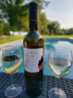 Nápoje v ubytovaní Villa Destiny Nedescina, Istrien, Kroatien