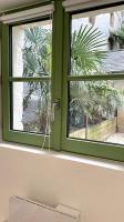 a green window with a view of a palm tree at Maison et appartement attenant pour 10 personnes avec terrasse, cour et parking in Pau