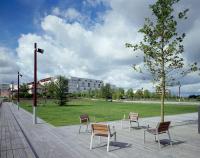 a group of chairs and a tree in a park at La Chambre Saint Jacques &amp; Rennes in Saint-Jacques-de-la-Lande