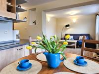 Kuchnia lub aneks kuchenny w obiekcie visit baltic - Przy Promenadzie Apartament Kapitański