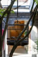 Beijing Le Zai Nan Luo Gu Xiang Wang Fu Jing Forbidden City Courtyard Hotel&Free laundry service&Free coffee &Paid Dumpling experience serviceの見取り図または間取り図