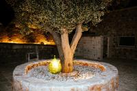 LatianoMasseria Cortese的树旁放着一个黄色花瓶