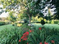 a garden with flowers and a tree in a field at Sologne des étangs - Bontens in Saint-Viâtre