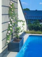 a plant in a pot next to a swimming pool at LUXUS sApartments in der Kunstvilla &amp; kostenloses parken in Premstätten