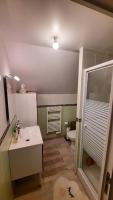 a bathroom with a shower and a sink and a toilet at Le chaudron vert in Moncé-en-Belin