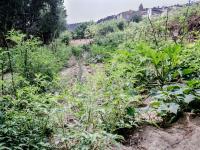 Vonkajšia záhrada v ubytovaní Aldea Rural Pazos De Arenteiro