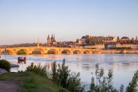 a bridge over a river with a group of buildings at Perle de la Loire in Blois