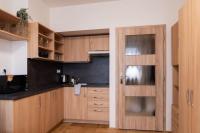 Kuchyň nebo kuchyňský kout v ubytování Studio apartment in Brno-center