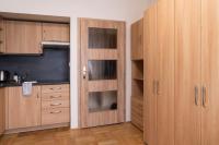 Kuchyň nebo kuchyňský kout v ubytování Studio apartment in Brno-center