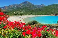 a beach with red flowers and people in the water at Piana - vue mer et village in Piana