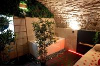 a bathroom with a bath tub and a tree in it at Hébergement insolite, Night Secret Groot in Millau