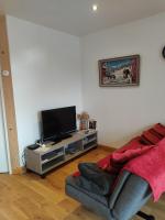 Televízia a/alebo spoločenská miestnosť v ubytovaní Appartement cosy, au calme, axe Annecy - Genève