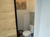 a bathroom with a toilet and a picture on the wall at APPARTEMENT HYPER CENTRE numéro 101 in Roanne