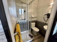a bathroom with a shower and a toilet at Le Richelieu Bacchus in Fontainebleau