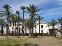 un gruppo di palme davanti a un edificio di Pedro’s Apartment a Sucina