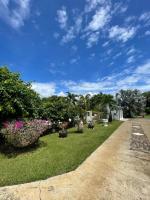 a garden with potted plants and flowers on the grass at Appartement Coeur de Papillon in Baie-Mahault