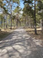 Príroda v okolí apartmánu