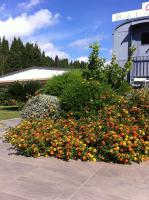 Vonkajšia záhrada v ubytovaní Skipper White Guest House