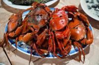 Φαγητό σε αυτό το ξενοδοχείο ή κάπου εκεί κοντά