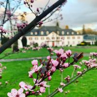 Schloss Auel Boutique Hotel & Design Golf Lodgeにある庭