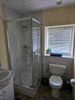 a bathroom with a shower and a toilet and a sink at Le gîte des Jardins d&#39;Hayden in Courson