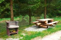 a picnic table and a chair next to a pile of logs at Apartment in a charming location on Forellenhof Zorn Valley Dabo in Dabo