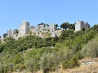 a castle on top of a hill with trees at Magnificent Villa in Saint Ambroix with Private Pool in Saint-Ambroix