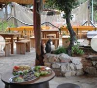 un gatto seduto accanto a un tavolo con piatti di cibo di Mobilna kućica MAAR a Šimuni