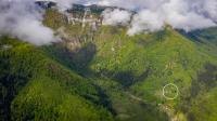 an aerial view of a forested mountain at Holiday house Kajfes in Brod na Kupi