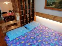 Postel nebo postele na pokoji v ubytování Apartment Perunika