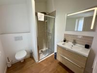 a bathroom with a toilet and a sink and a shower at Appartement Le Voltaire centre ville climatisé in Saumur