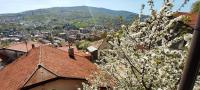 a view of a city with white flowers on a tree at Guest House Lejla in Travnik