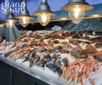 a large display of seafood on a table at Les Pieds dans le Sable in Le Grau-du-Roi