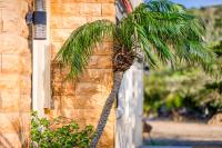 a palm tree is leaning against a building at Southern Sun Homestay North in Kenting