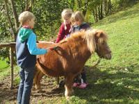 a group of children standing around a small pony at Bio Ferienbauernhof Greber in Schwarzenberg