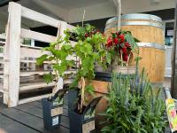 Zahrada ubytování Brzozowa Zatoka Brenno