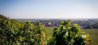 Gallery image of Hostellerie St Vincent in Nuits-Saint-Georges