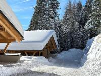 Vista Lodge durante o inverno