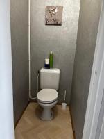 a bathroom with a toilet with a picture on the wall at F3 gîte « le Général Leclerc » pour 6 personnes in Yzeure