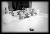 - un lavabo avec deux robinets et un vase dans l&#39;établissement Appartements Baron Bouvier, à Vesoul