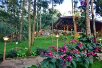 einen Garten mit lila Blumen und einem Holzpavillon in der Unterkunft Sereno Chikmagalur in Chikmagalur