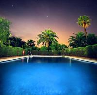 una gran piscina azul con palmeras en el fondo en Hotel La Peña, en Tarifa
